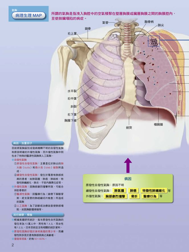 內頁 2