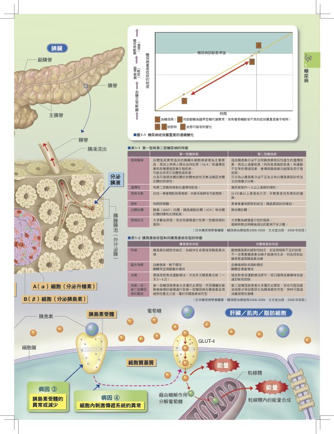 內頁 3