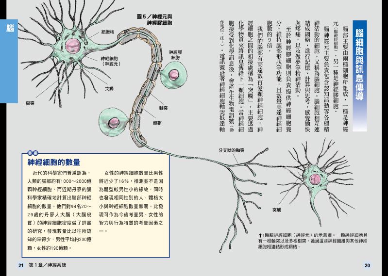 內頁 6