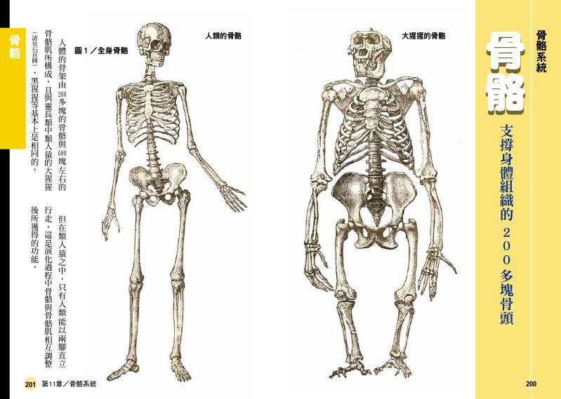內頁 9