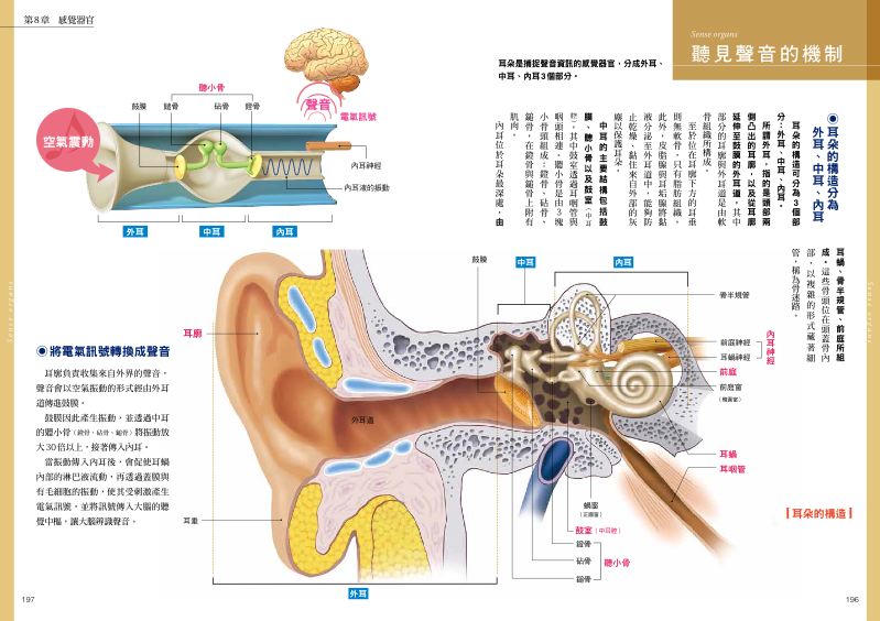 內頁 9