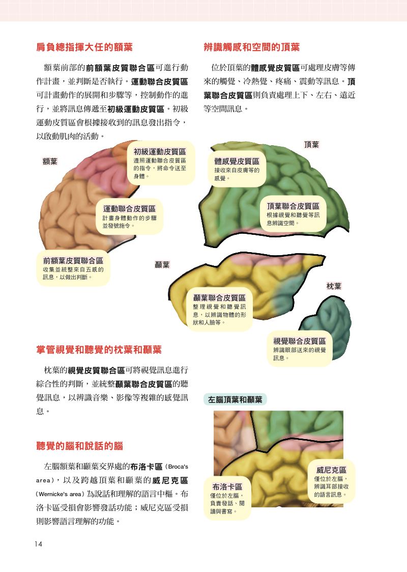 內頁 3