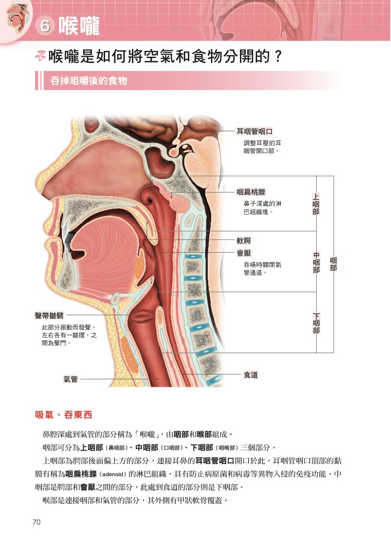 內頁 7