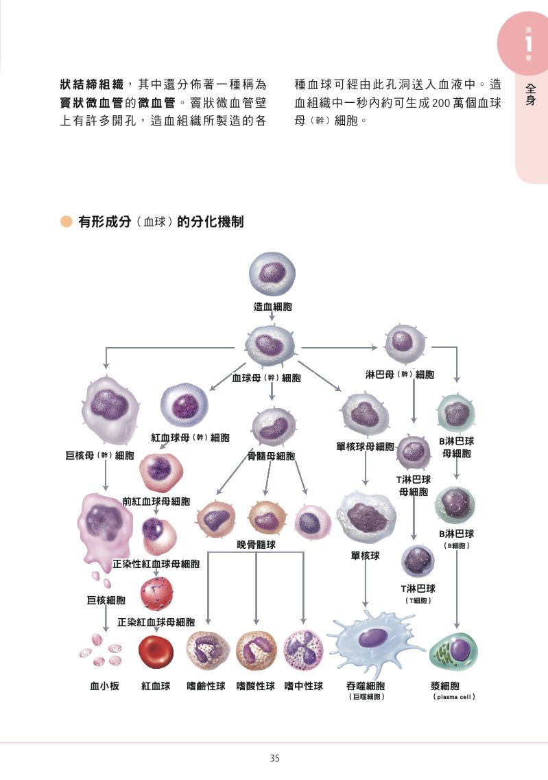 內頁 5