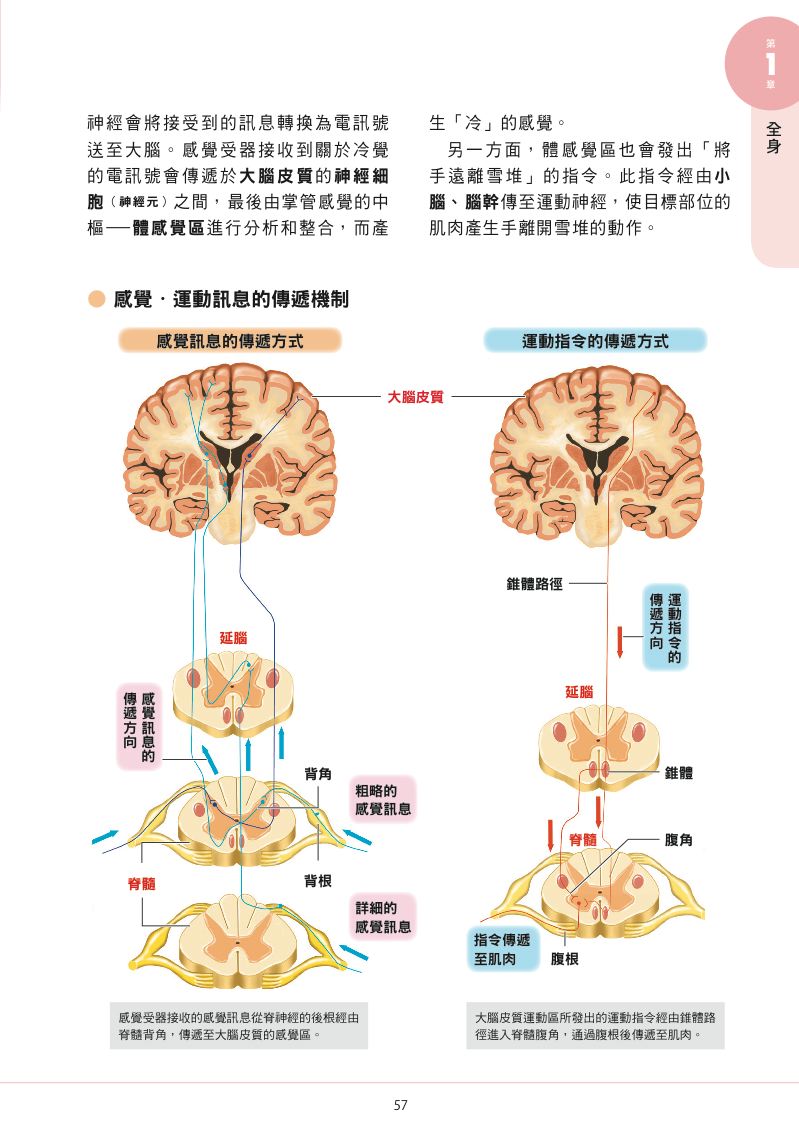 內頁 7