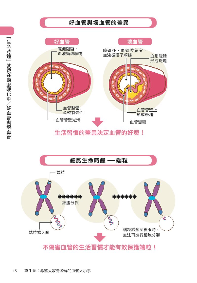 內頁 3