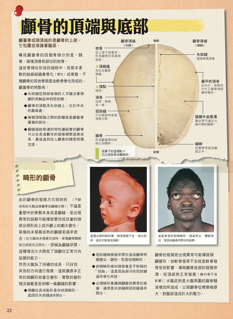 內頁 6