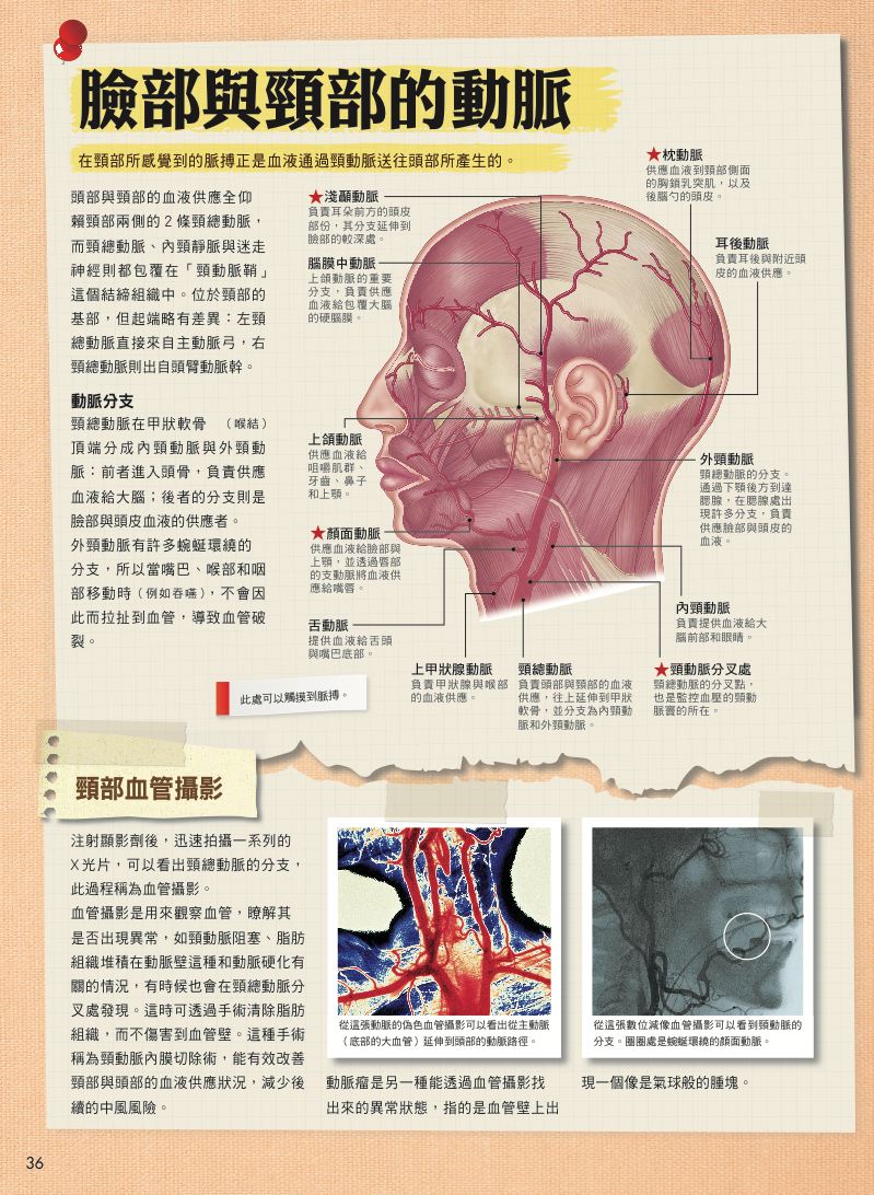 內頁 8
