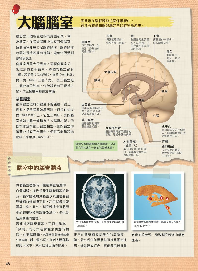 內頁 9