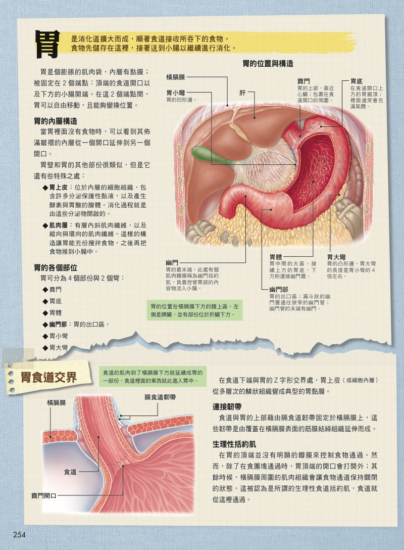 內頁 4