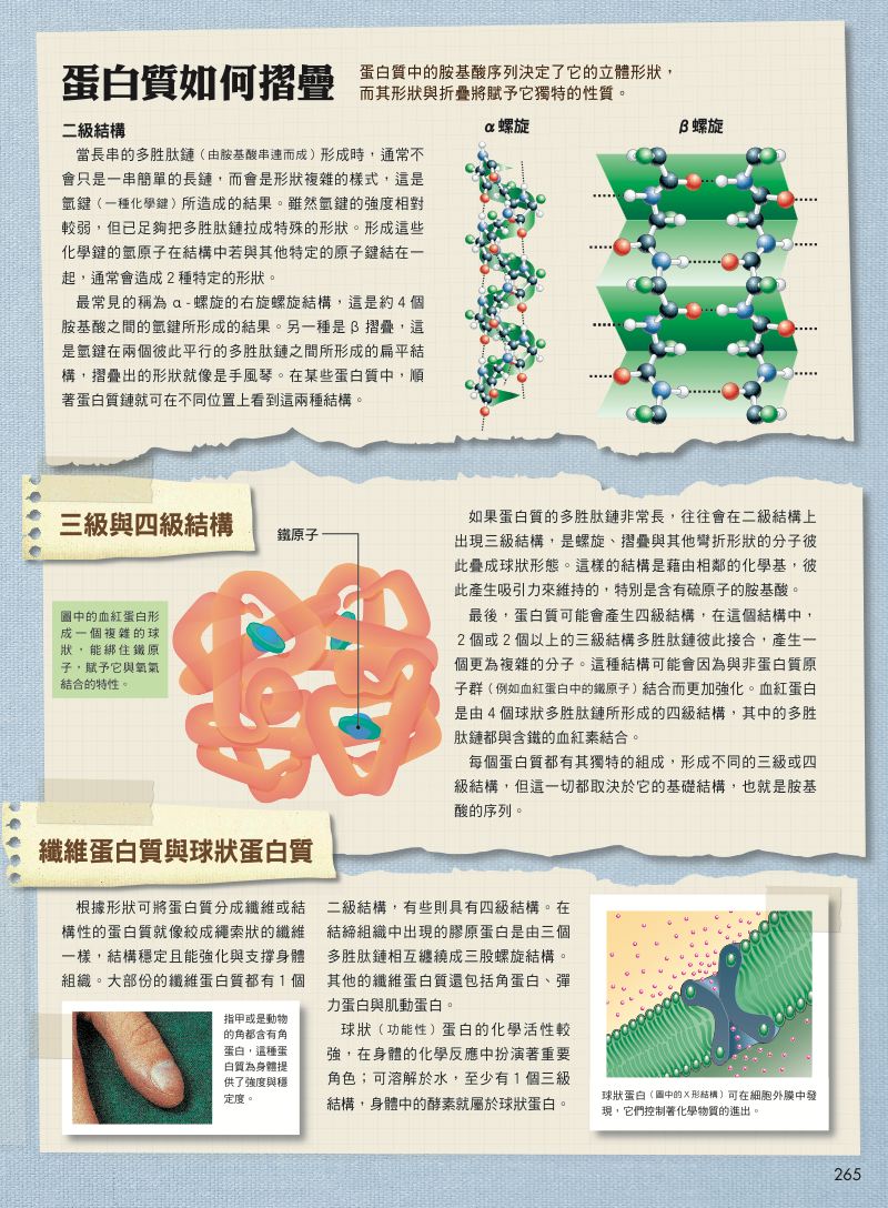 內頁 5