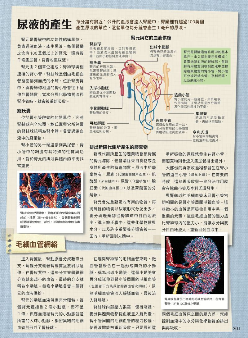 內頁 8