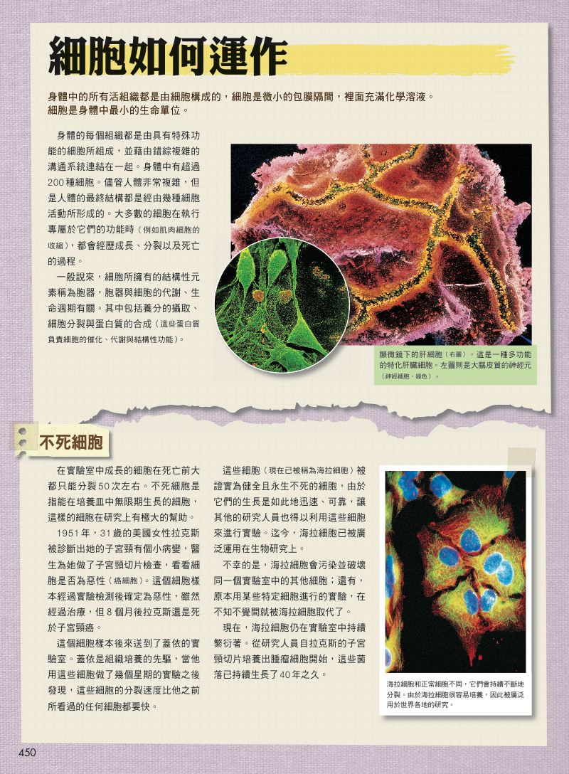 內頁 9