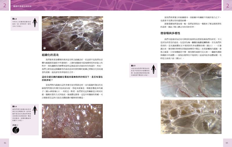 內頁 8