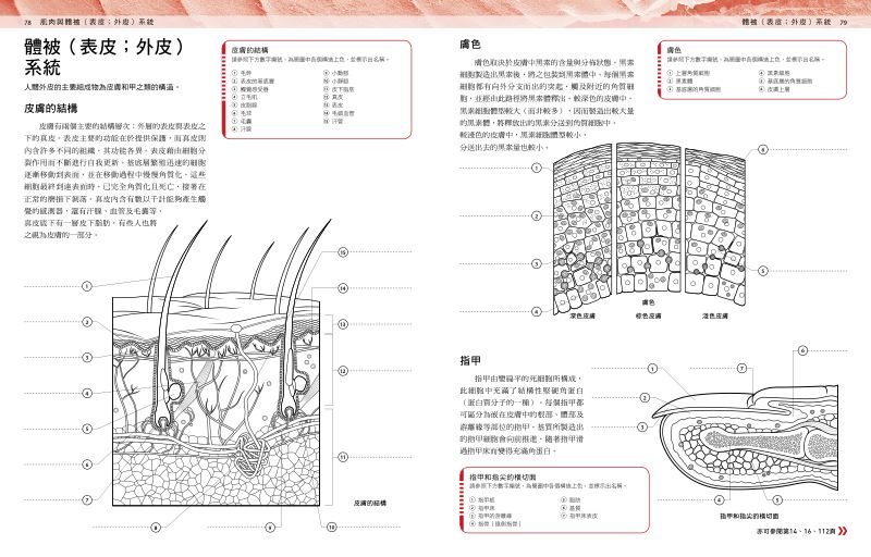 內頁 7