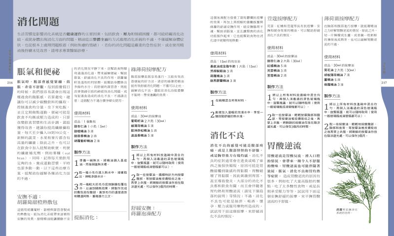 內頁 11