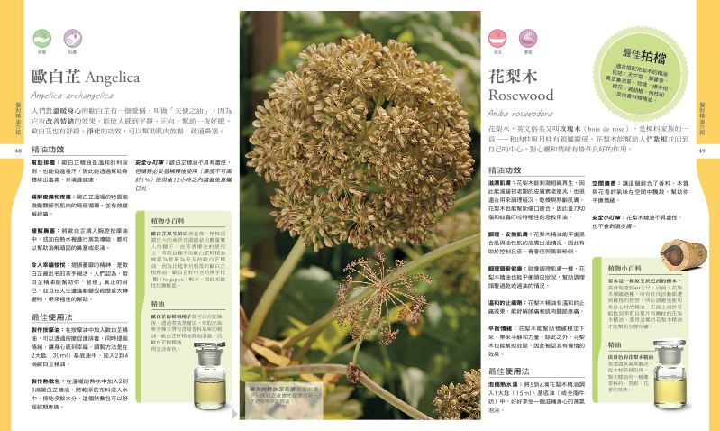 內頁 6