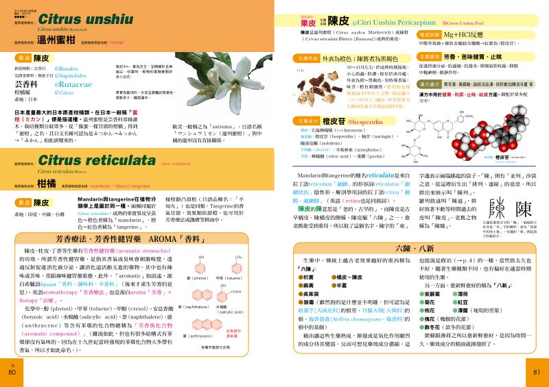 內頁 4