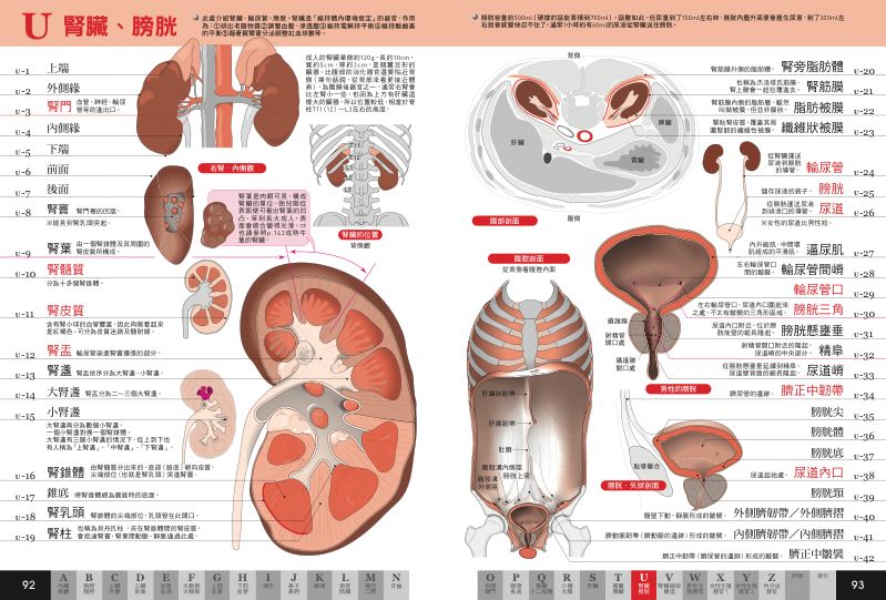 內頁 8