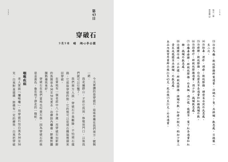 內頁 11
