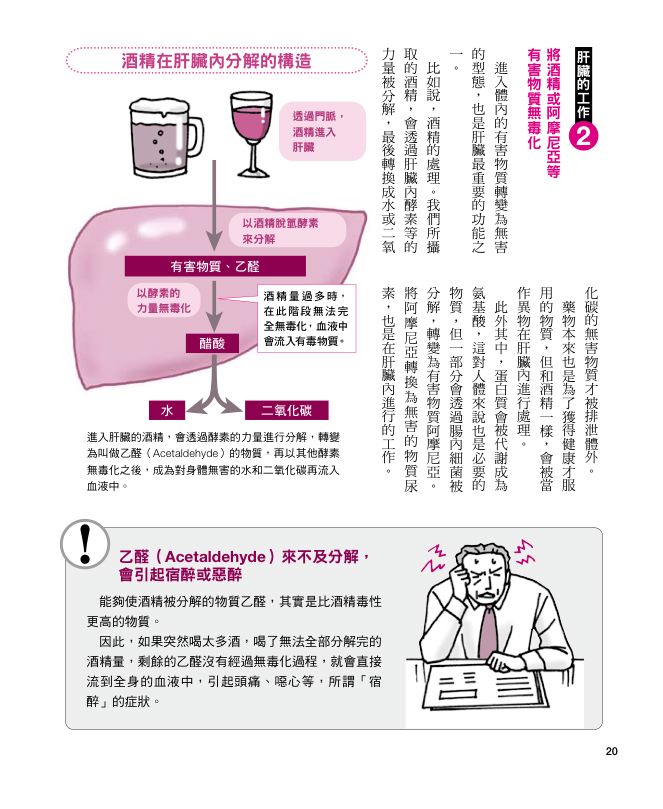 內頁 6