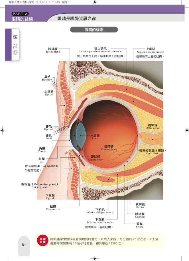內頁 8