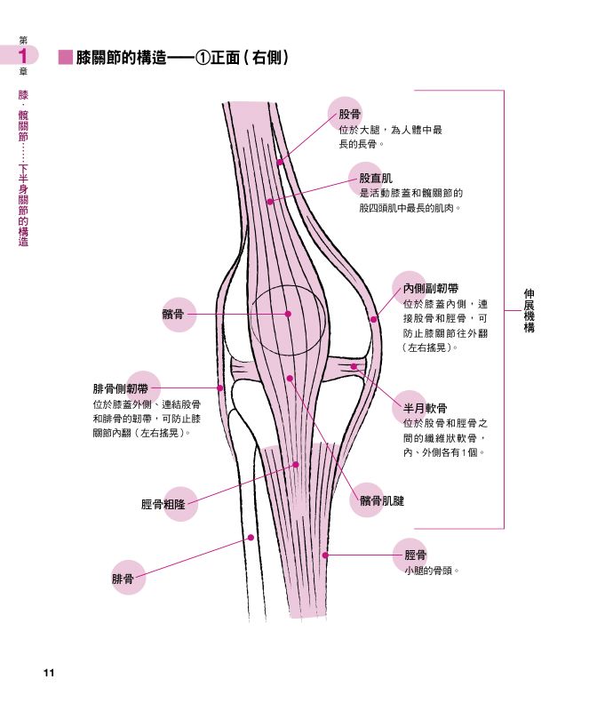 內頁 3