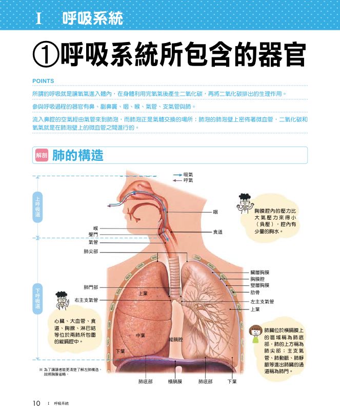 內頁 1