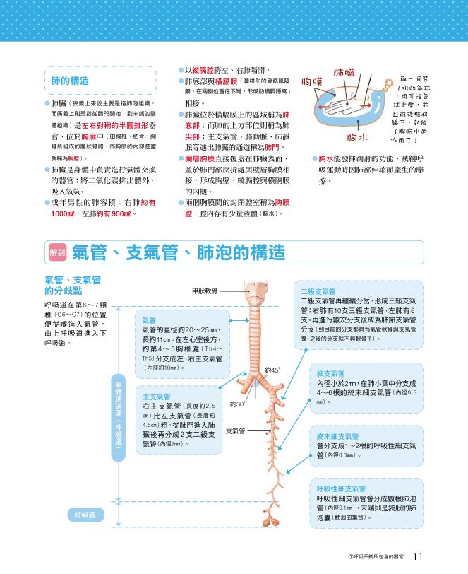 內頁 2