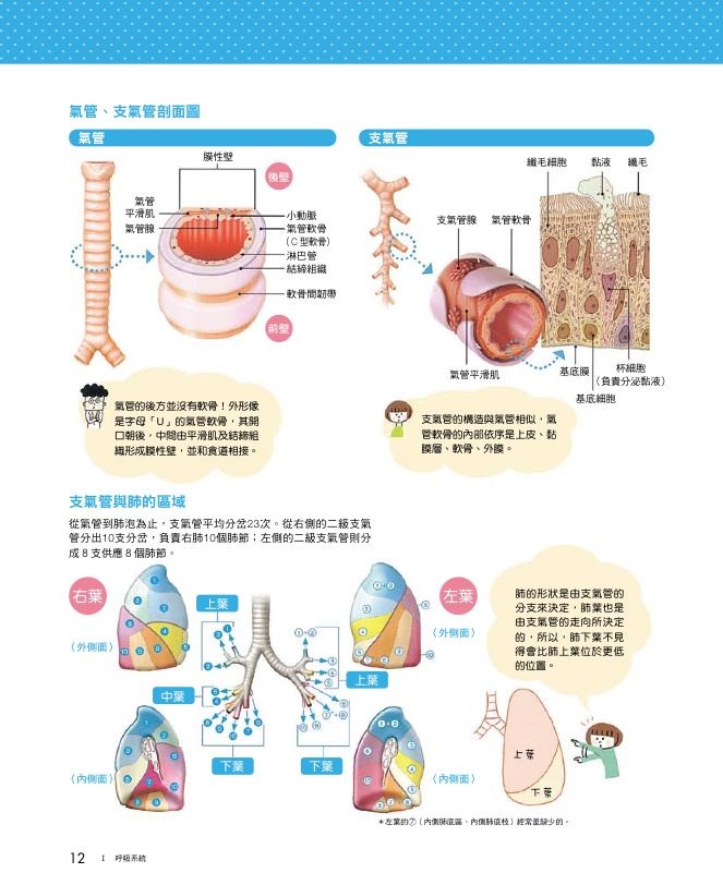 內頁 3
