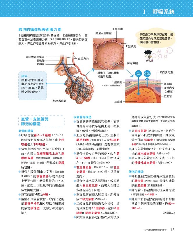 內頁 4