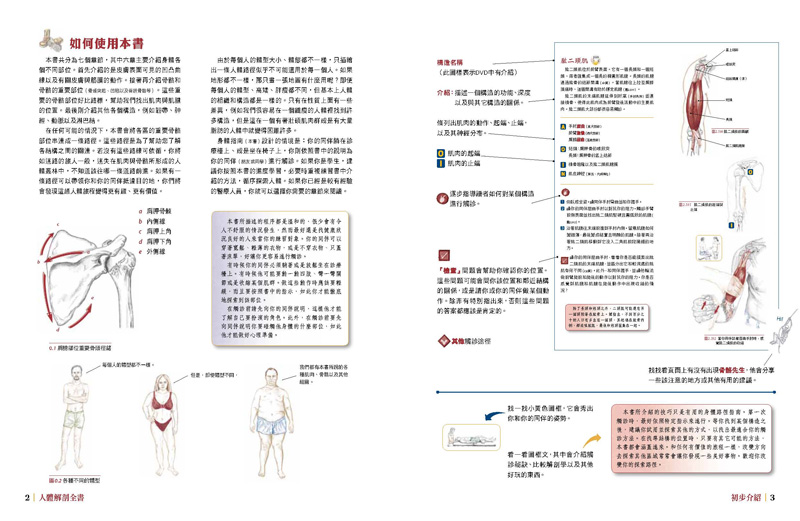 內頁 3