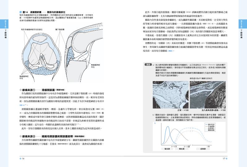 內頁 4