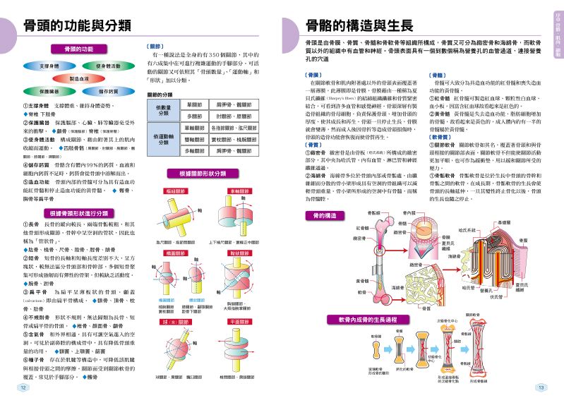 內頁 3