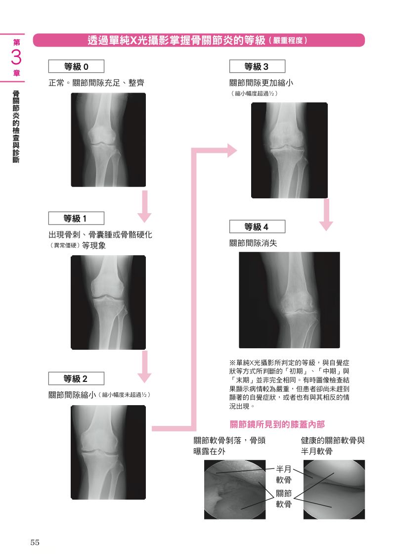 內頁 8