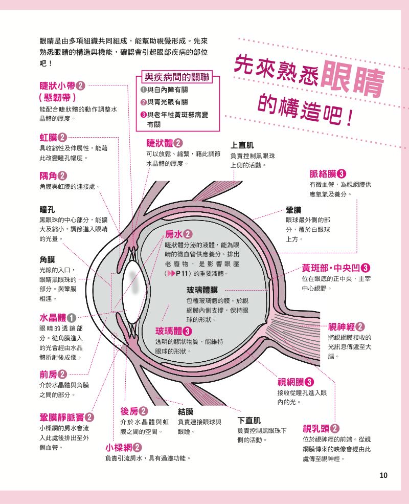 內頁 2