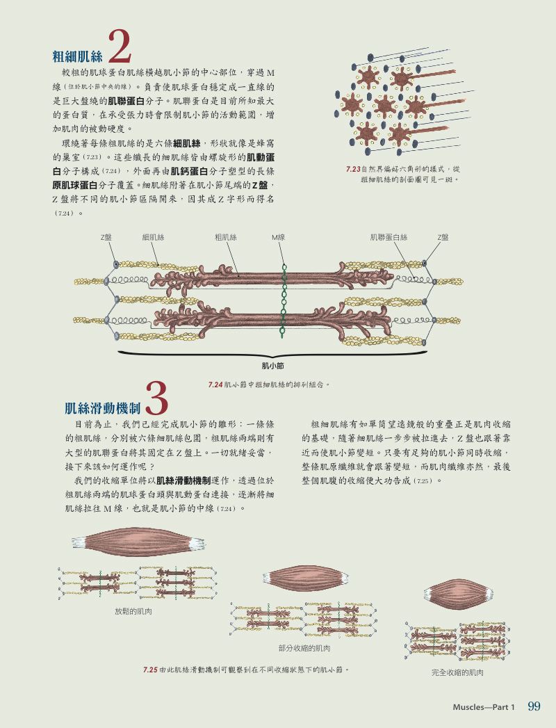 內頁 10