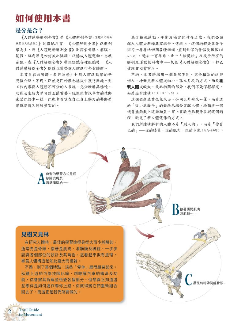 內頁 2