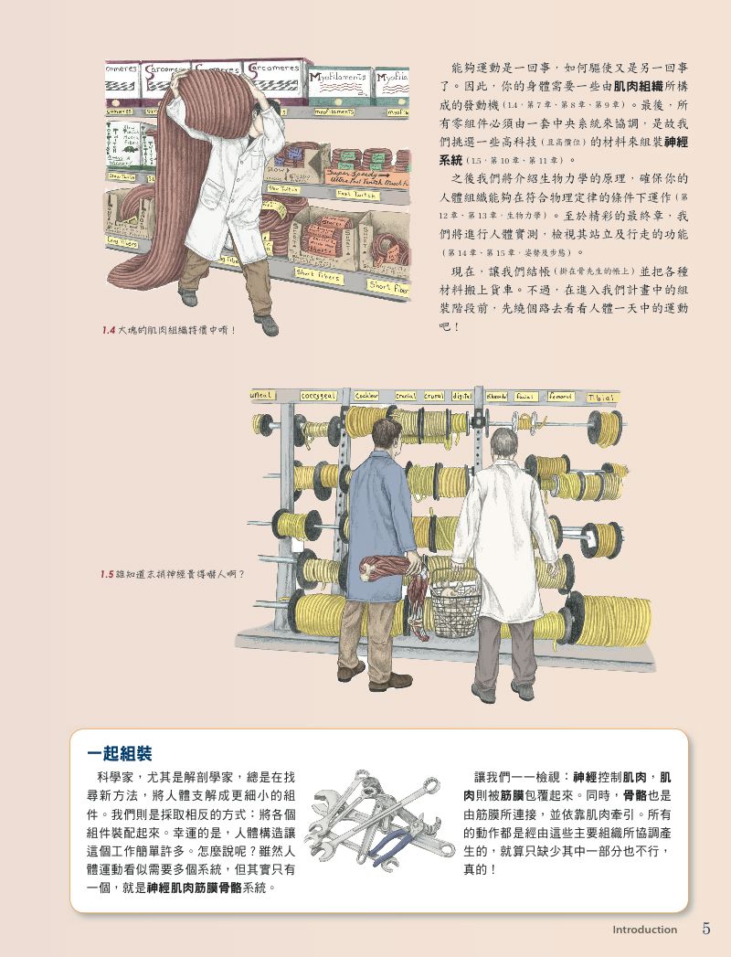 內頁 5