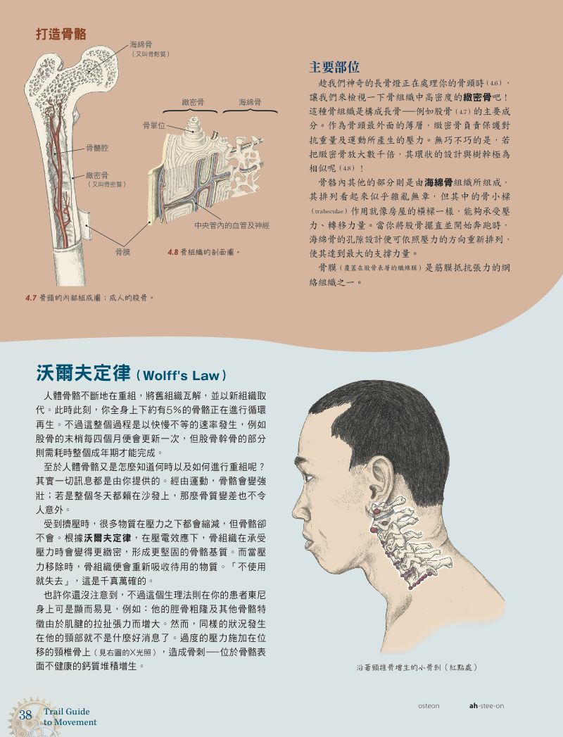 內頁 8
