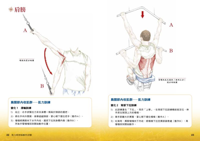 內頁 6