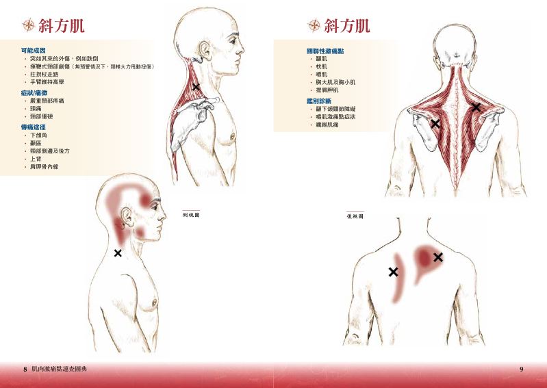 內頁 3