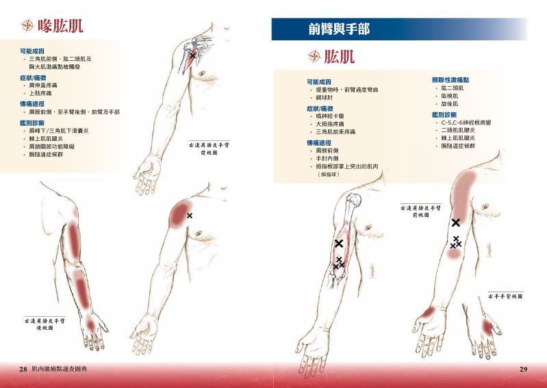 內頁 7