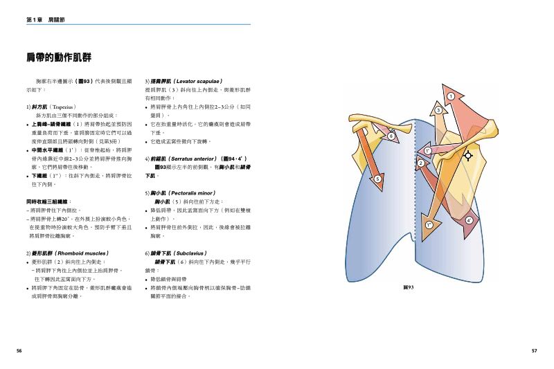 內頁 6