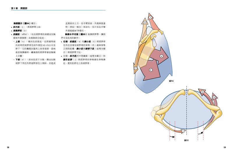 內頁 7