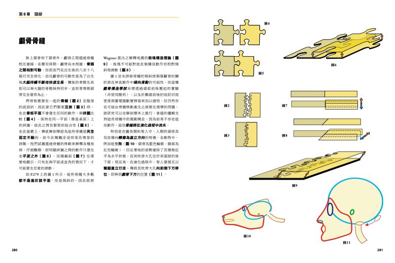 內頁 11