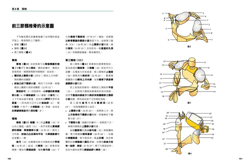 內頁 7