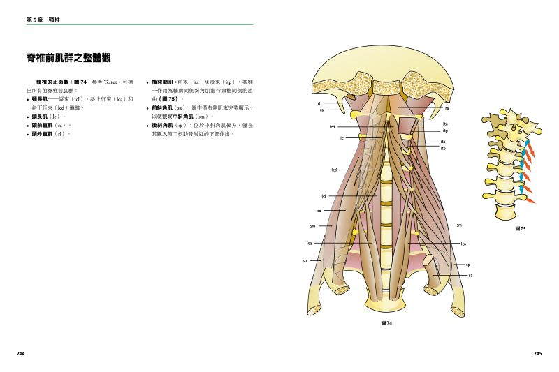 內頁 8