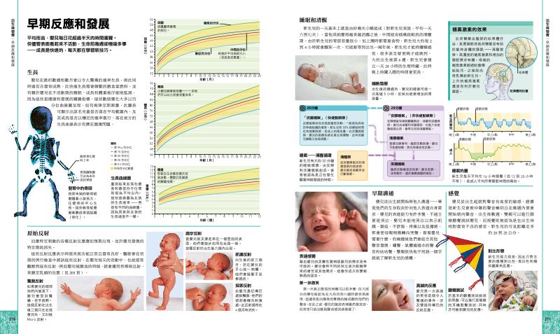 內頁 11