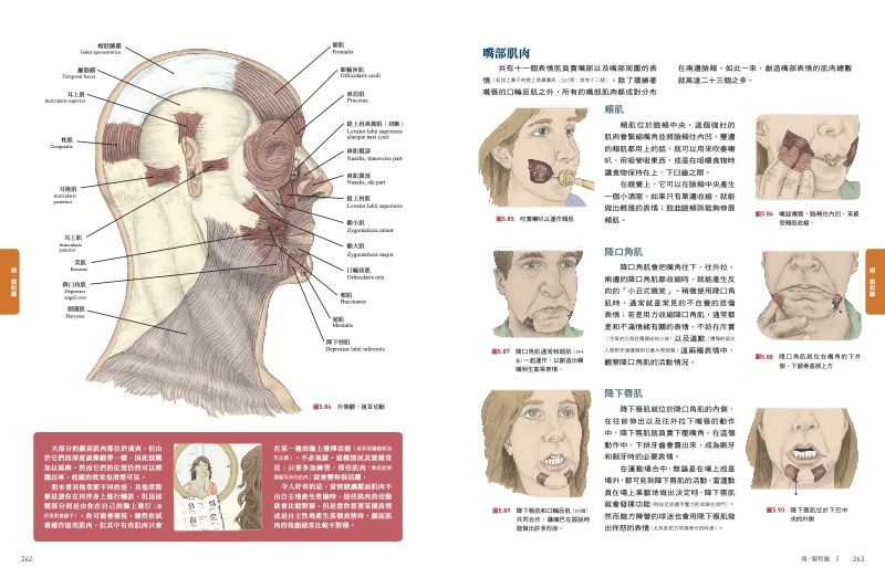 內頁 10